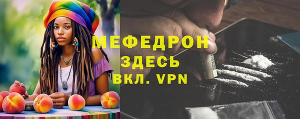 молекула духа Богородицк