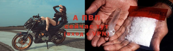круглые Белокуриха