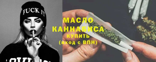 молекула духа Богородицк