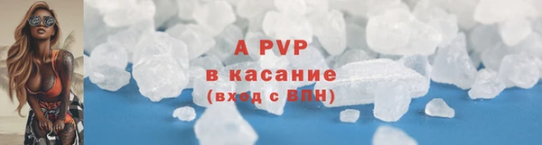 круглые Белокуриха