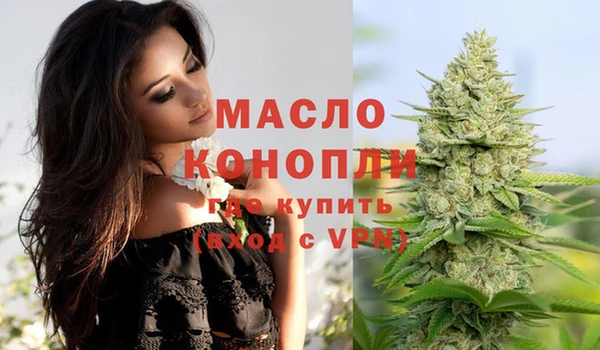 молекула духа Богородицк